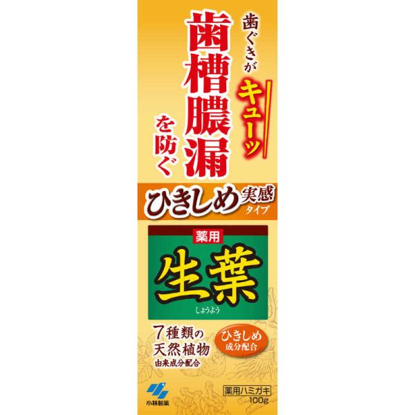 小林製薬　生葉 歯磨き粉 ひきしめ生葉 しょうよう 100g　