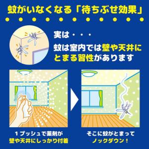 大日本除虫菊 蚊がいなくなるスプレー 200回...の詳細画像1
