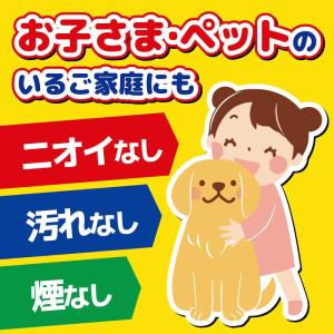 大日本除虫菊 蚊がいなくなるスプレー 200回...の詳細画像2
