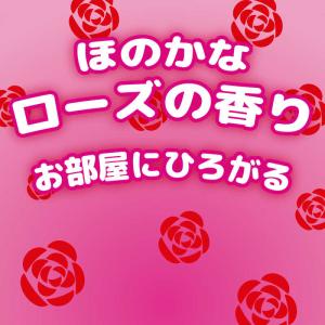 大日本除虫菊 蚊がいなくなるスプレー 200回...の詳細画像5