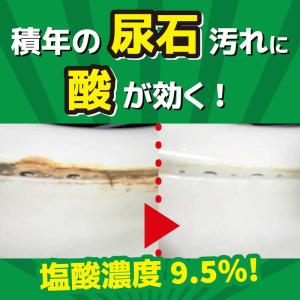 大日本除虫菊 サンポールV 1000mLの詳細画像2