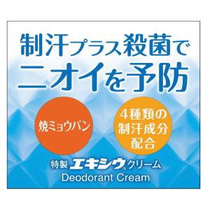 東京甲子社　特製エキシウクリーム 30g　