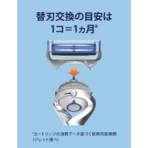 ジレット Gillette スキンガードフレッ...の詳細画像5