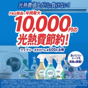 P&G ファブリーズ W除菌+消臭 プレミアム...の詳細画像2