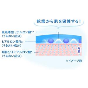 ロート製薬 スキンアクア (SKIN AQUA...の詳細画像5