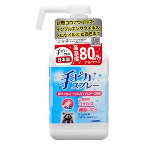 健栄製薬　手ピカスプレー 420ml　