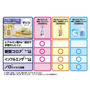 健栄製薬 手ピカスプレー 420mlの詳細画像4