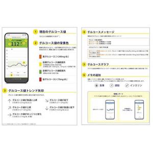 アボットジャパン グルコースモニタシステム F...の詳細画像2