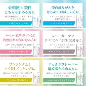 サンギ APAGARD(アパガード)Mプラス ...の詳細画像5