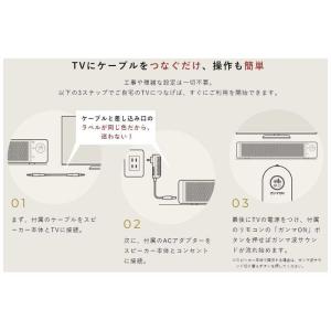 シオノギヘルスケア TVスピーカー ガンマ波サ...の詳細画像5
