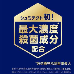 GSK シュミテクト シュミテクト 歯周病ダブ...の詳細画像5