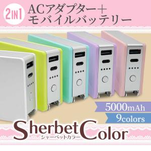 ラスタバナナ 5000mAh ACコンセント付...の詳細画像4