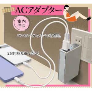 ラスタバナナ 5000mAh ACコンセント付...の詳細画像5