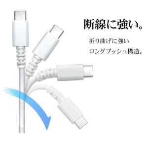 ラスタバナナ A to Type-Cケーブル ...の詳細画像2