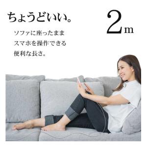 ラスタバナナ A to Type-Cケーブル ...の詳細画像1