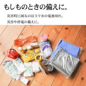 ラスタバナナ 単3x6本 電池式充電器 Aポー...の詳細画像3