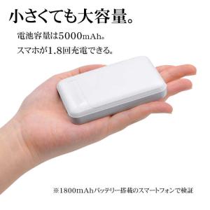 ラスタバナナ 5000mAh モバイルバッテリ...の詳細画像5