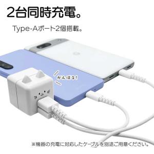 ラスタバナナ モバにゃー AC充電器 USB ...の詳細画像5