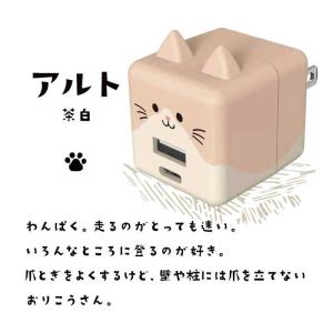 ラスタバナナ モバにゃー AC充電器Type-...の詳細画像5