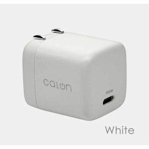 ラスタバナナ calon AC充電器 Type...の詳細画像2