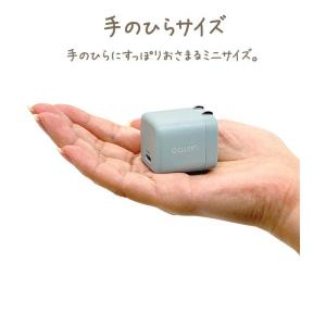 ラスタバナナ calon AC充電器 Type...の詳細画像4