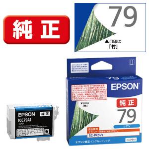 エプソン（EPSON） 【純正】 SC1C35 純正プリンターインク SC-T