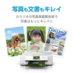 エプソン EPSON A3カラーインクジェット...の詳細画像3