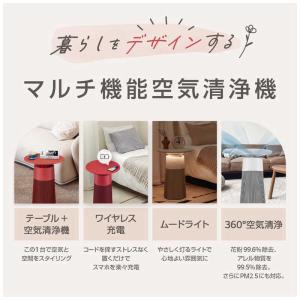 LG マルチ機能空気清浄機 PuriCare ...の詳細画像2