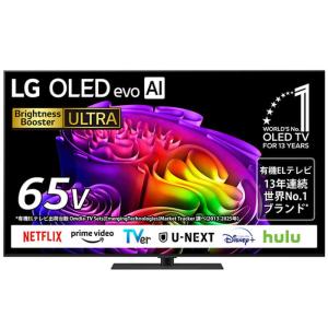納期お問い合わせ LGエレクトロニクス・ジャパン 65NANO90JPA[液晶