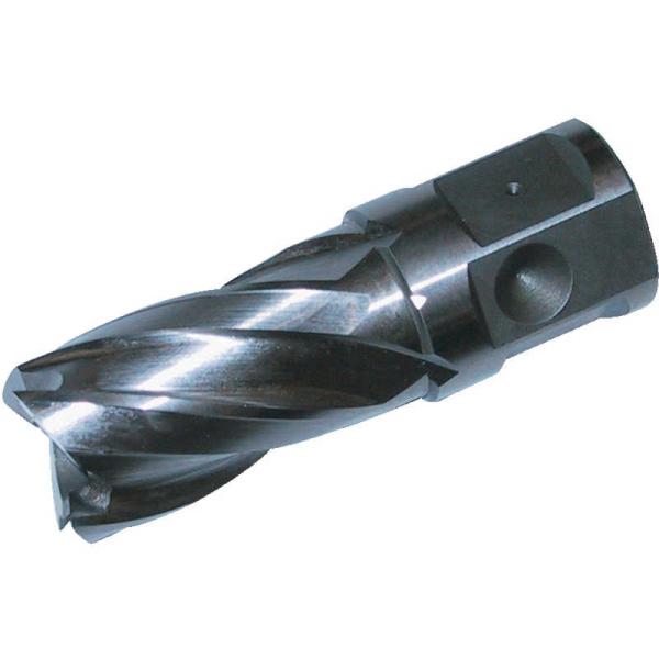 大見工業　25SQハイスカッター 22.0mm　HCSQ220