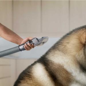 ダイソン dyson ペットグルーミングキット...の詳細画像2