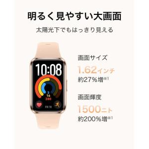 HUAWEI Band 11 Aluminum...の詳細画像1