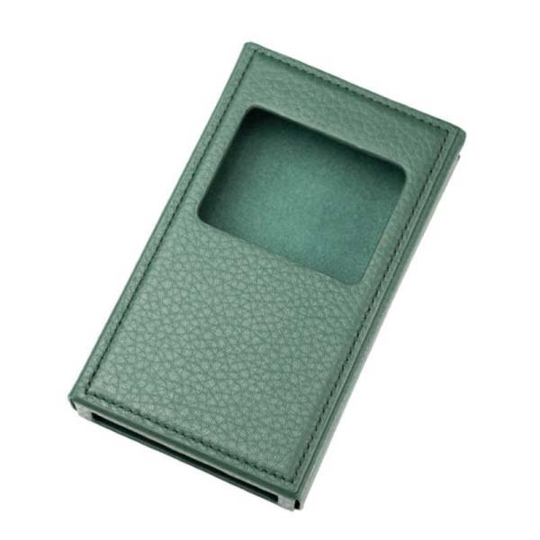 IBASSO　PB6 MACAW 専用レザーケース　PB6Case
