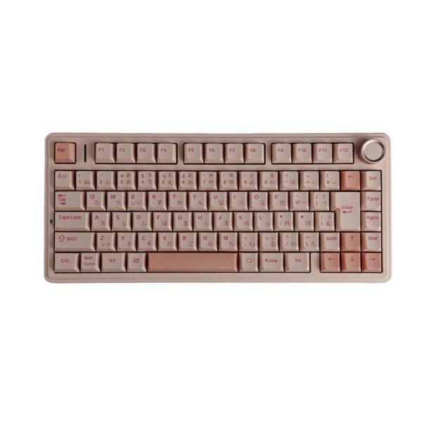 AULA　ゲーミングキーボード F75　F75J-SV-PK