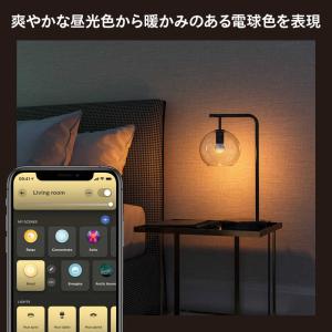 フィリップス PHILIPS Philips ...の詳細画像2