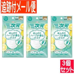 三次元マスク ほんのりハーブが香るマスク グレープフルーツの香り