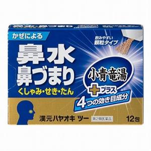 漢元ハヤオキツーの商品画像