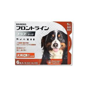 【動物用医薬品】フロントラインプラスドッグ 犬用 XL 40〜60kg未満 6本入