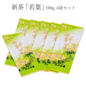 新茶「若葉」100ｇ袋入 ５＋１セット 通販限定 (800558)｜y-koyamaen