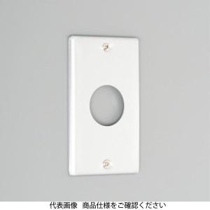 アメリカン電機 新金プレート小穴1個用 8071A