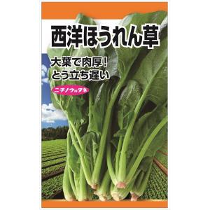 西洋 ほうれん草の商品一覧 通販 Yahoo ショッピング