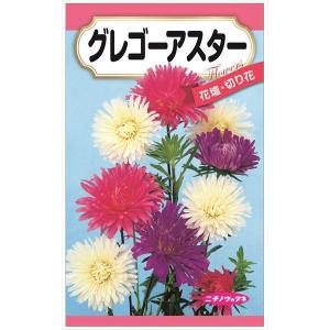 ニチノウのタネ グレゴーアスター 日本農産種苗 4960599410184 1セット
