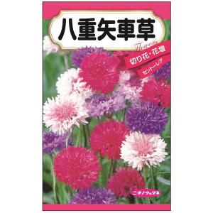 花矢車草 その他ガーデニング 園芸用品 の商品一覧 園芸用品 花 ガーデニング 通販 Yahoo ショッピング