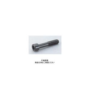 ナベヤ ソケットスクリュー SKS16050