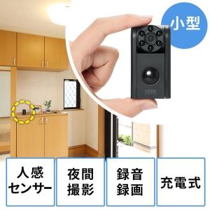 サンワダイレクト 防犯カメラ 小型 1台
