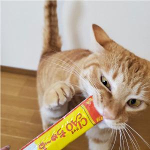 【ワゴンセール】いなば CIAO チャオ ちゅ...の詳細画像5