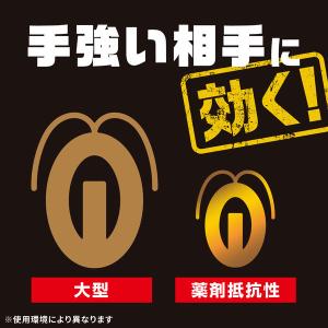 ゴキブリ 駆除剤 置き型 ブラックキャップ 1...の詳細画像4