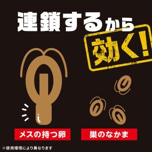 ゴキブリ 駆除剤 置き型 ブラックキャップ 1...の詳細画像5