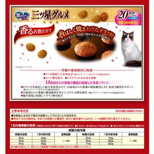 銀のスプーン 三ツ星グルメ 腎臓の健康維持用 ...の詳細画像1