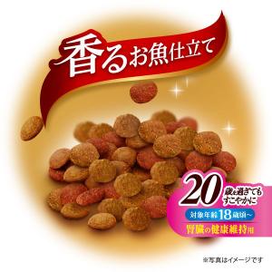 銀のスプーン 三ツ星グルメ 腎臓の健康維持用 ...の詳細画像2